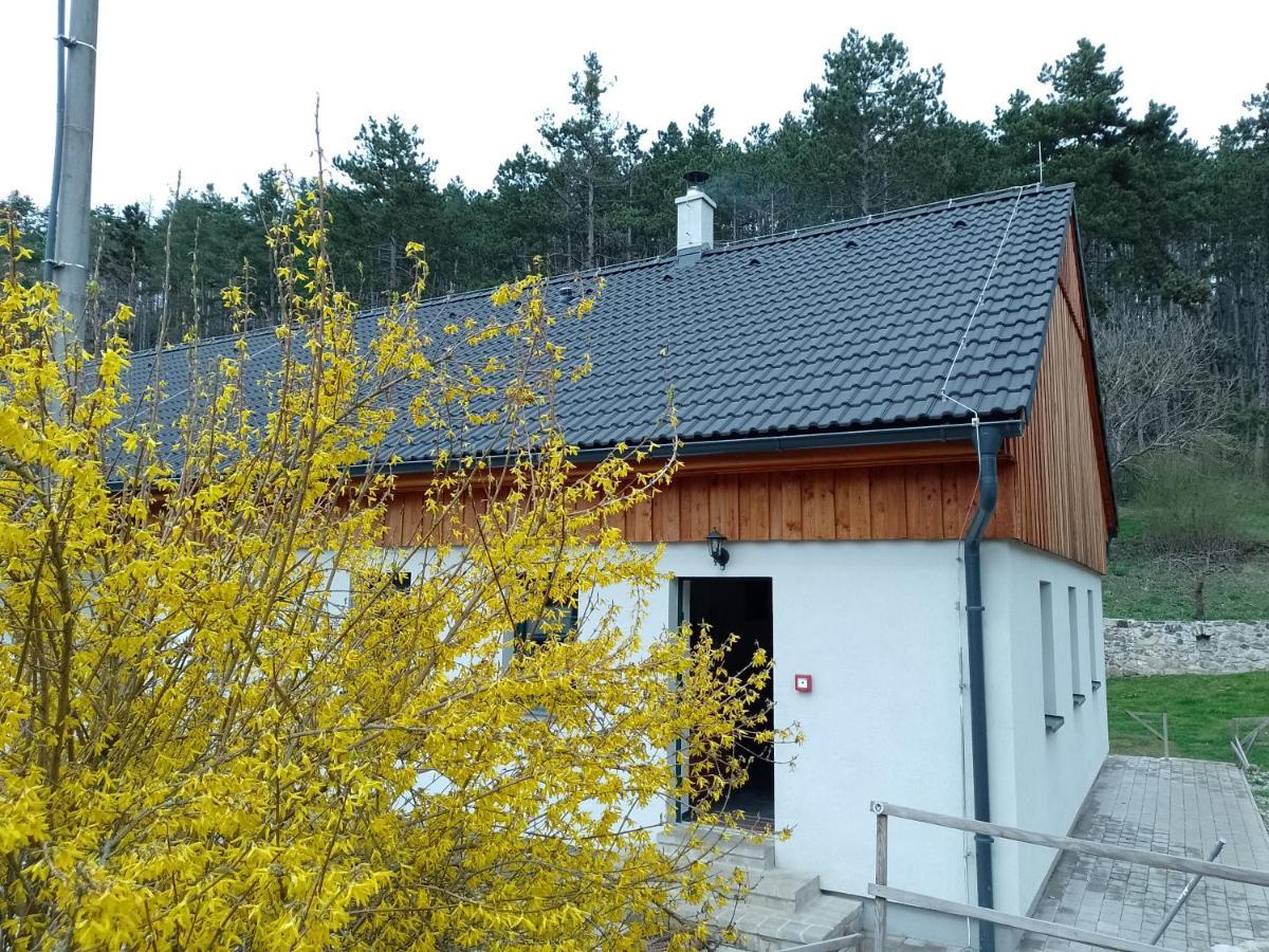 Penzion Litohlavy 17 - Na Samote U Lesa Králŭv Dvŭr Exterior foto