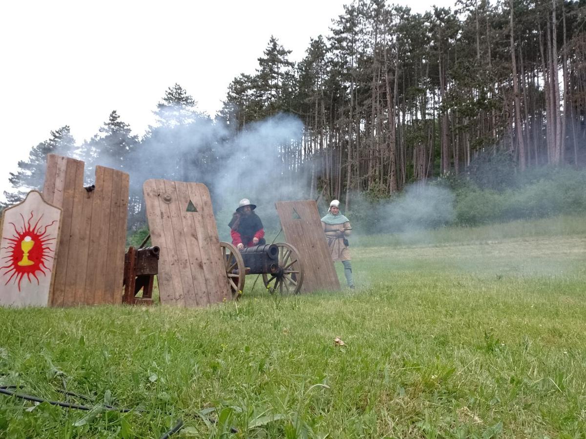 Penzion Litohlavy 17 - Na Samote U Lesa Králŭv Dvŭr Exterior foto